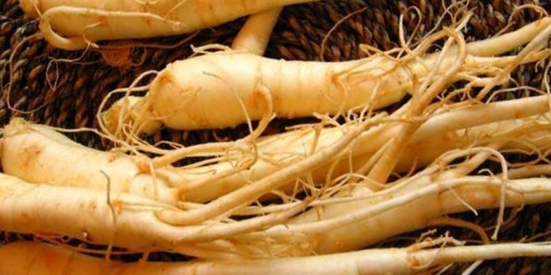 gücü artırmak için ginseng kökü